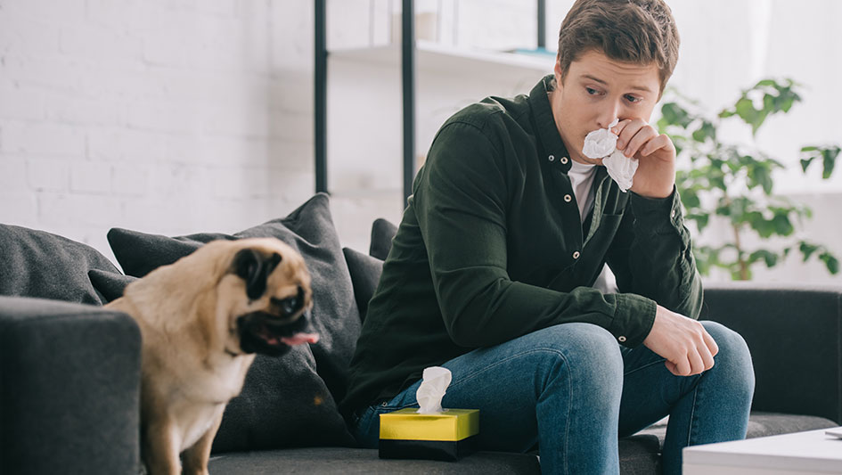 Installing an air purifier is one of the best methods to boost your residence’s indoor air quality. Find out more about the three smartest options. 